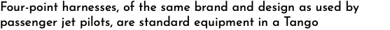 Four-point harnesses, of the same brand and design as used by passenger jet pilots, are standard equipment in a Tango